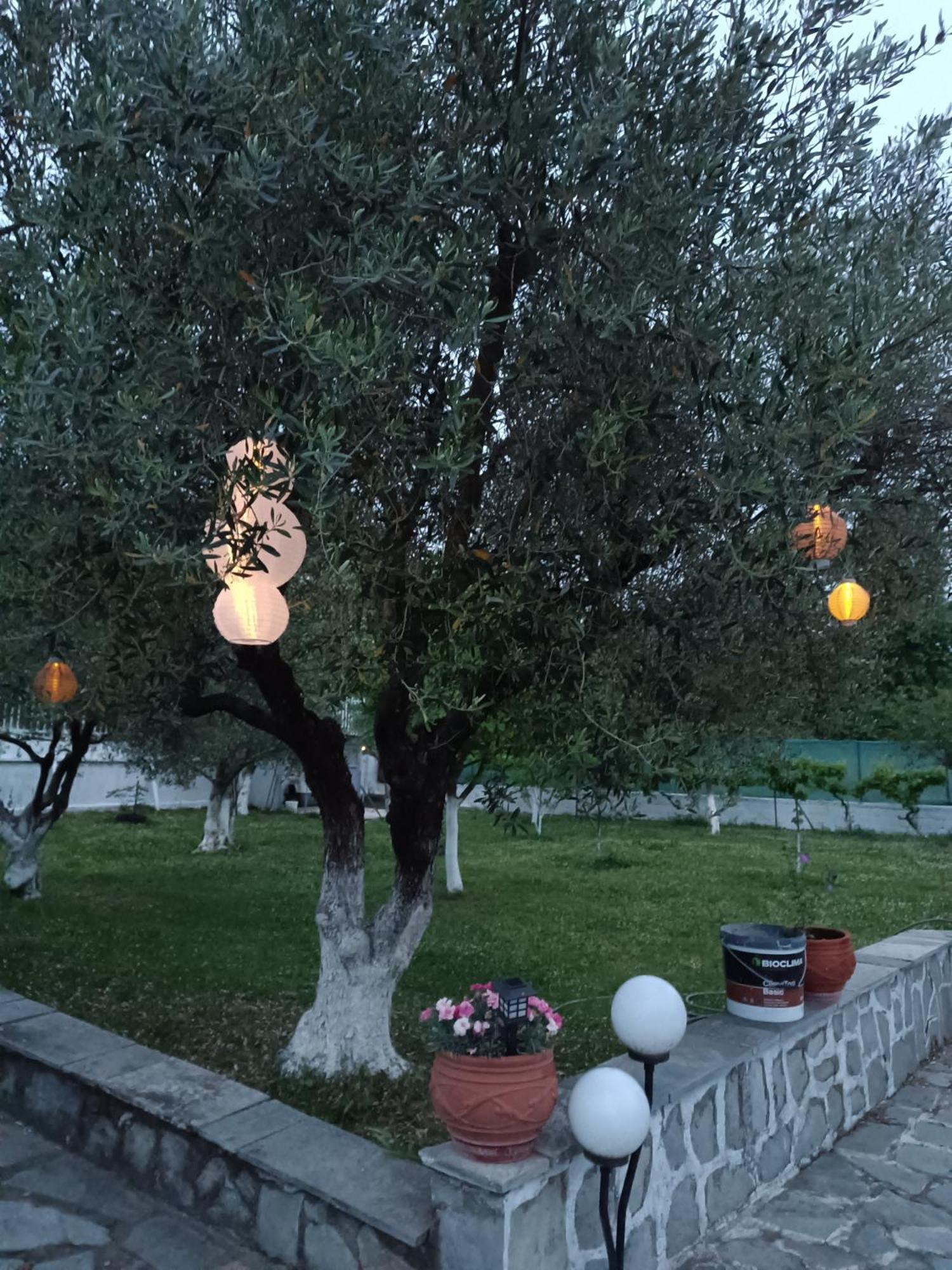 Гостевой дом Pomegranate Tree House - Meteora Калампака Экстерьер фото